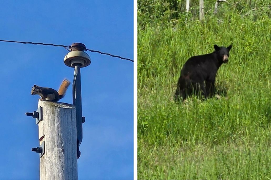 Third Banner